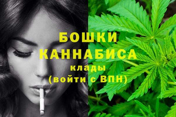 молекула духа Алзамай