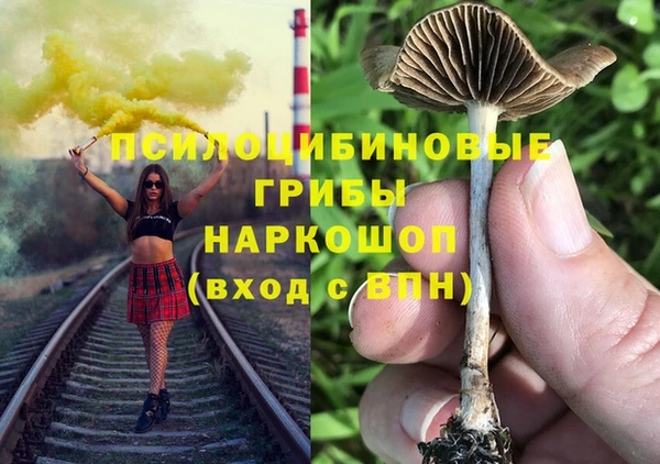 спайс Алексеевка