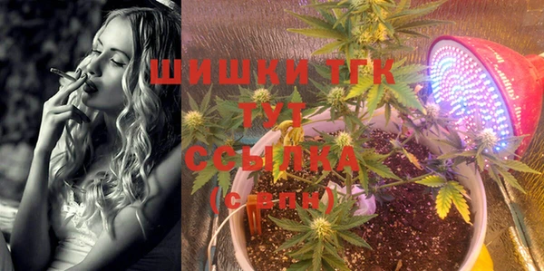 молекула духа Алзамай
