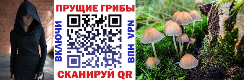 Псилоцибиновые грибы Cubensis  Слободской 