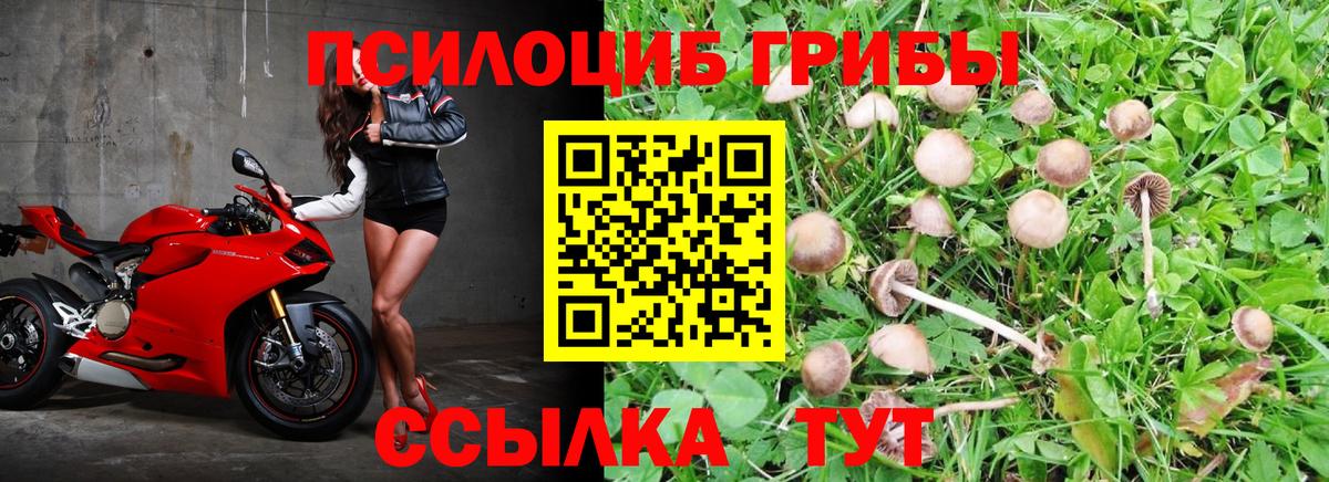 Галлюциногенные грибы мицелий Слободской