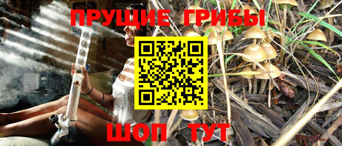 Слободской  Псилоцибиновые грибы ЛСД  цены наркотик  Вход с VPN 